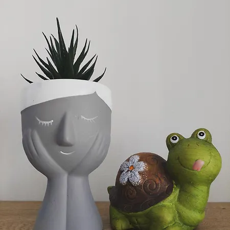 Gex Appartement Tirana